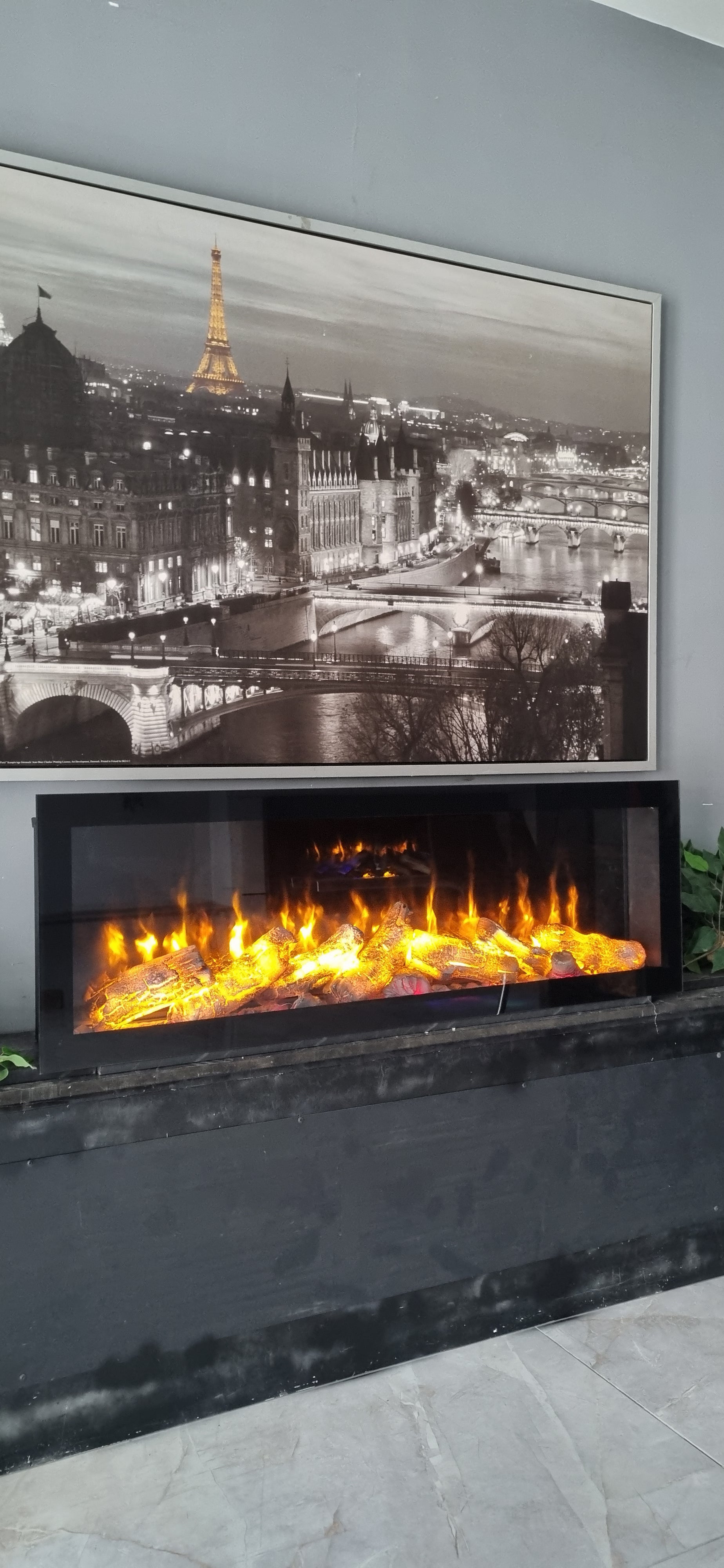 Rosa Plasma Fireplace